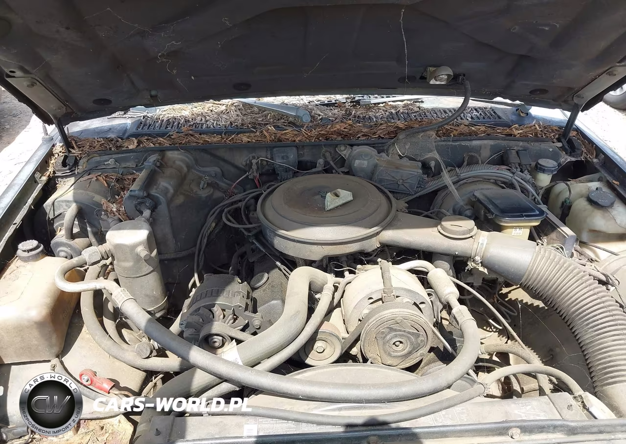 1993 GMC Sonoma VIN:1GTCS14R3P8520422 - 10