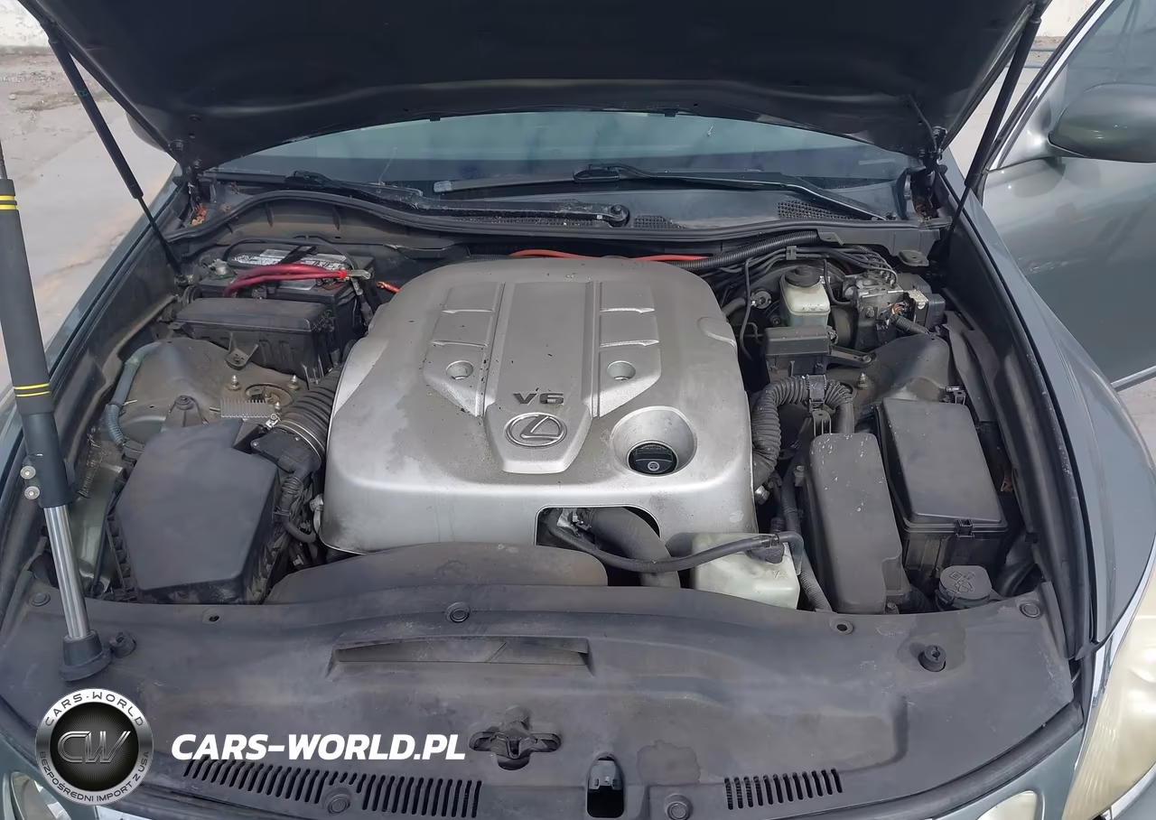 2006 Lexus Gs 300 VIN:JTHBH96SX65010771 - 10