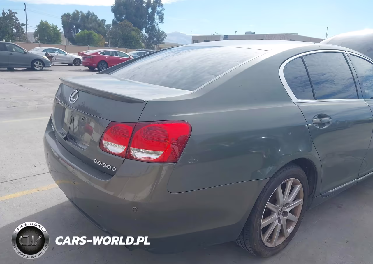 2006 Lexus Gs 300 VIN:JTHBH96SX65010771 - 6