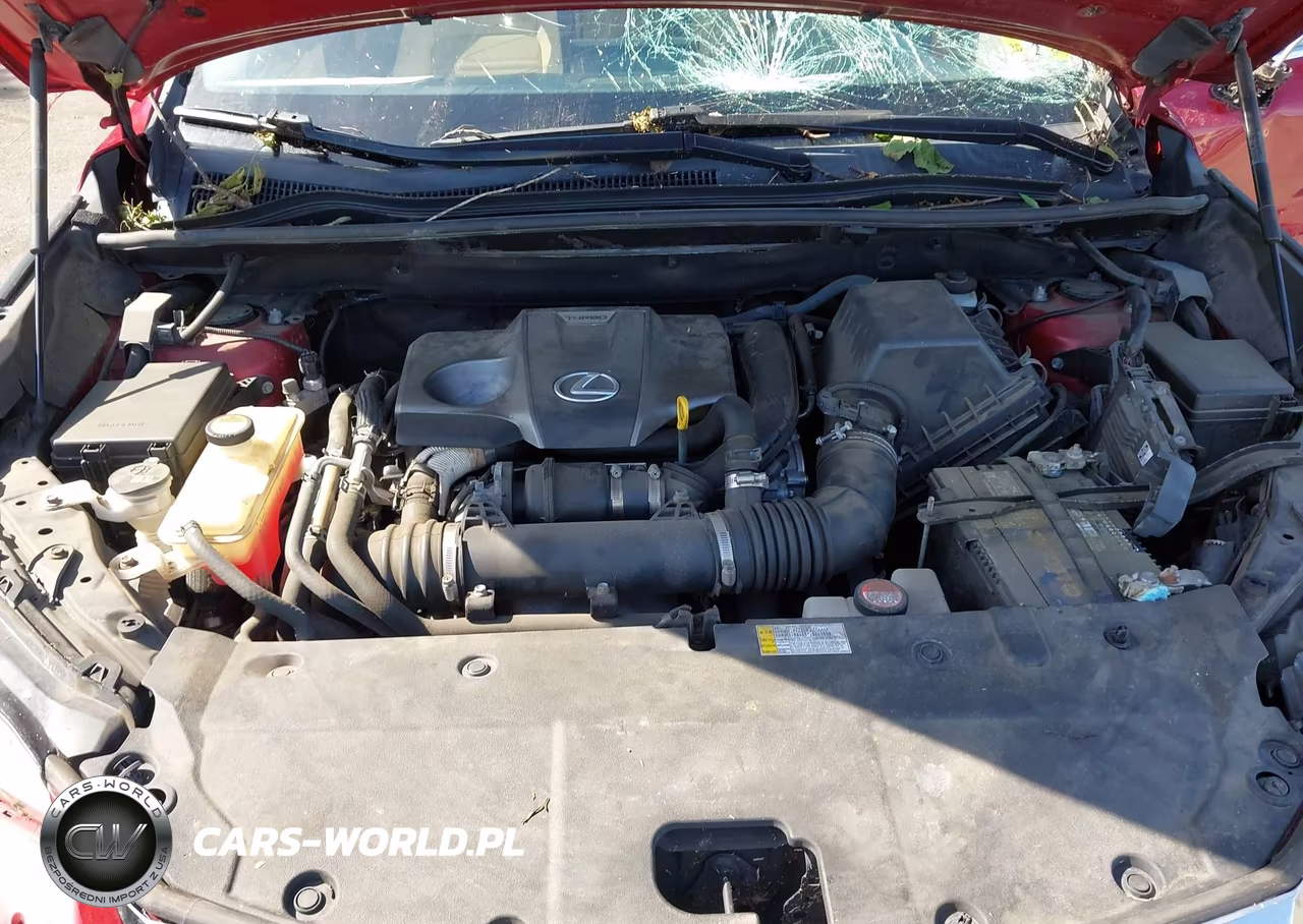 2015 Lexus Nx 200T VIN:JTJBARBZ6F2024433 - 10