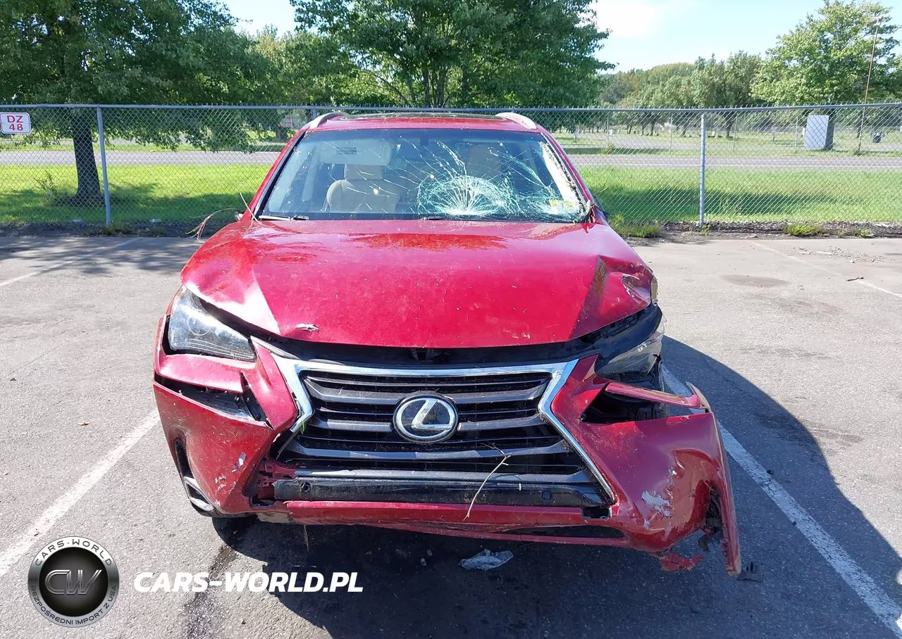 2015 Lexus Nx 200T VIN:JTJBARBZ6F2024433 - 12