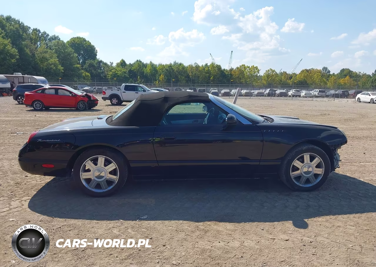 2004 Ford Thunderbird VIN:1FAHP60A14Y103127 - 13