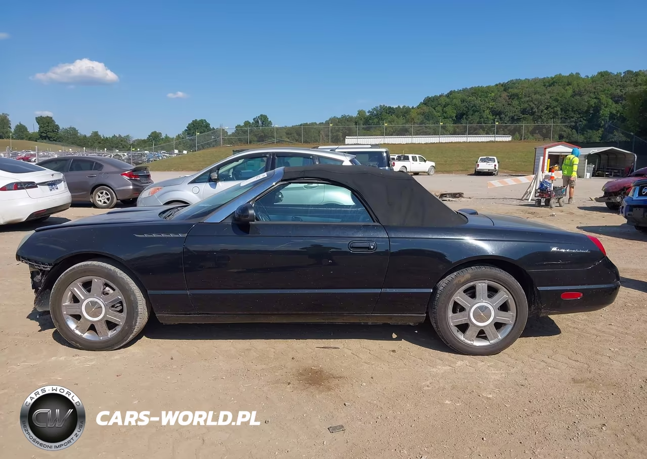 2004 Ford Thunderbird VIN:1FAHP60A14Y103127 - 14