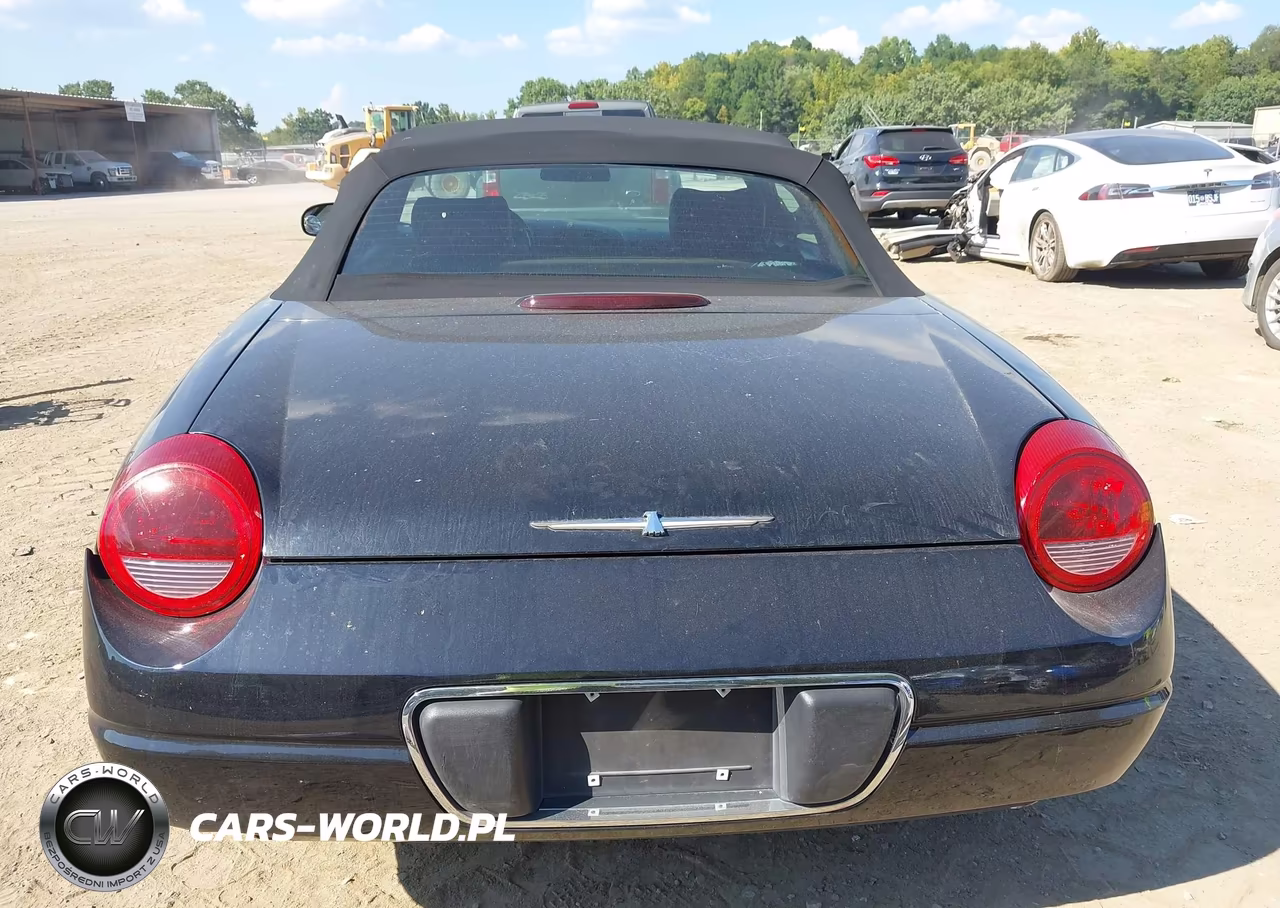 2004 Ford Thunderbird VIN:1FAHP60A14Y103127 - 16