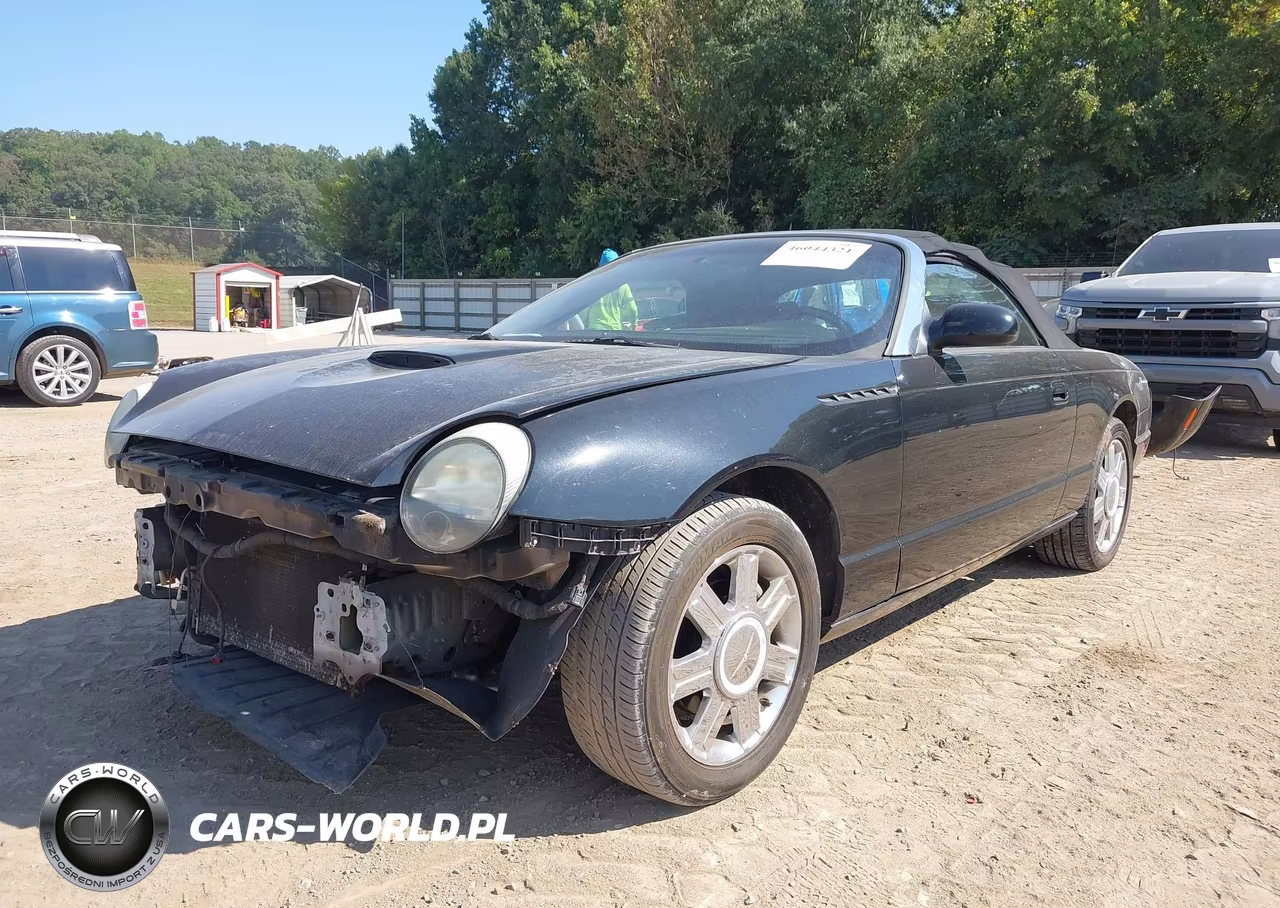2004 Ford Thunderbird VIN:1FAHP60A14Y103127 - 2