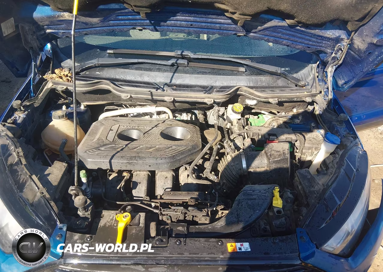 2019 Ford Ecosport S VIN:MAJ6S3FL9KC282301 - 10