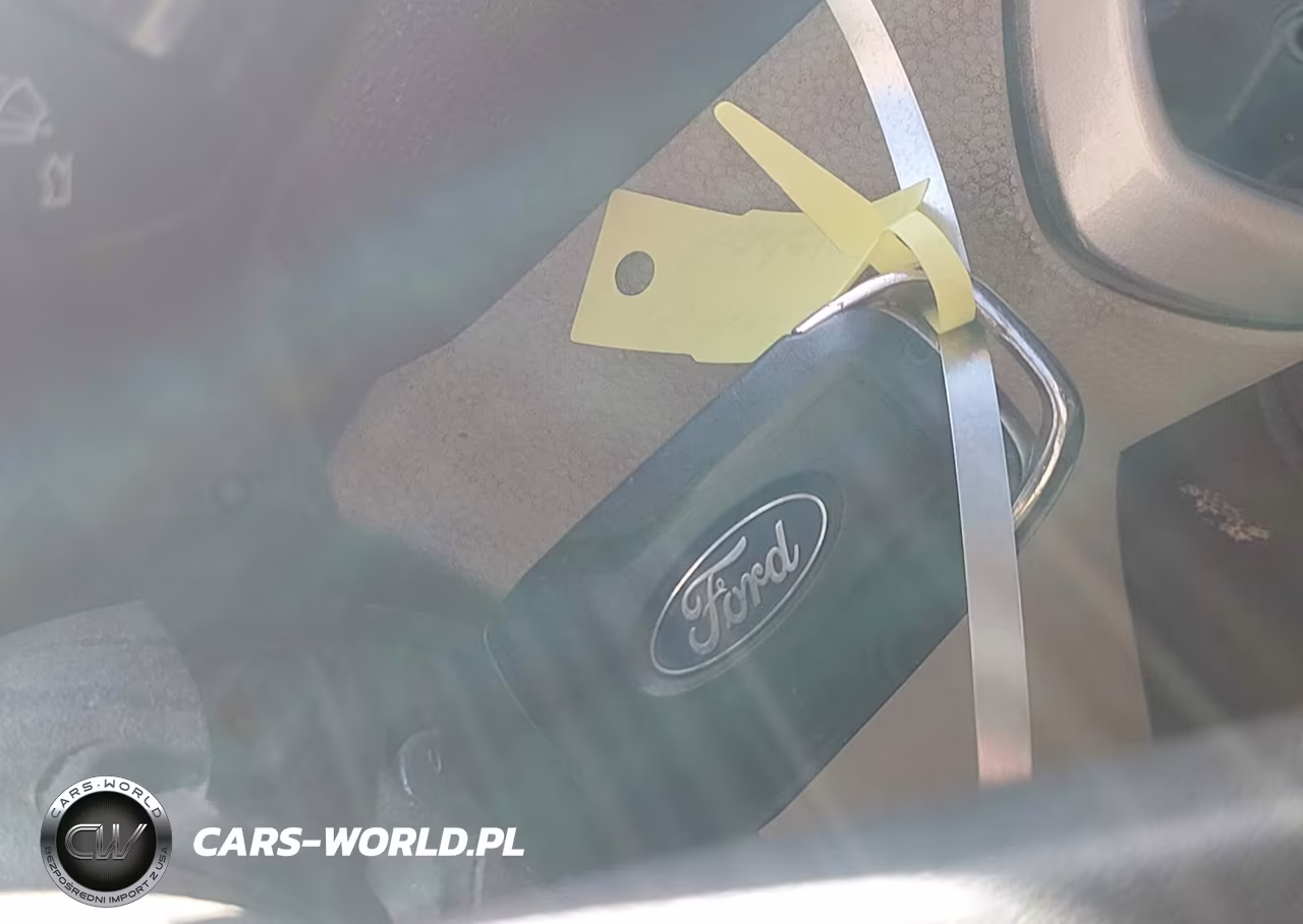 2019 Ford Ecosport S VIN:MAJ6S3FL9KC282301 - 11