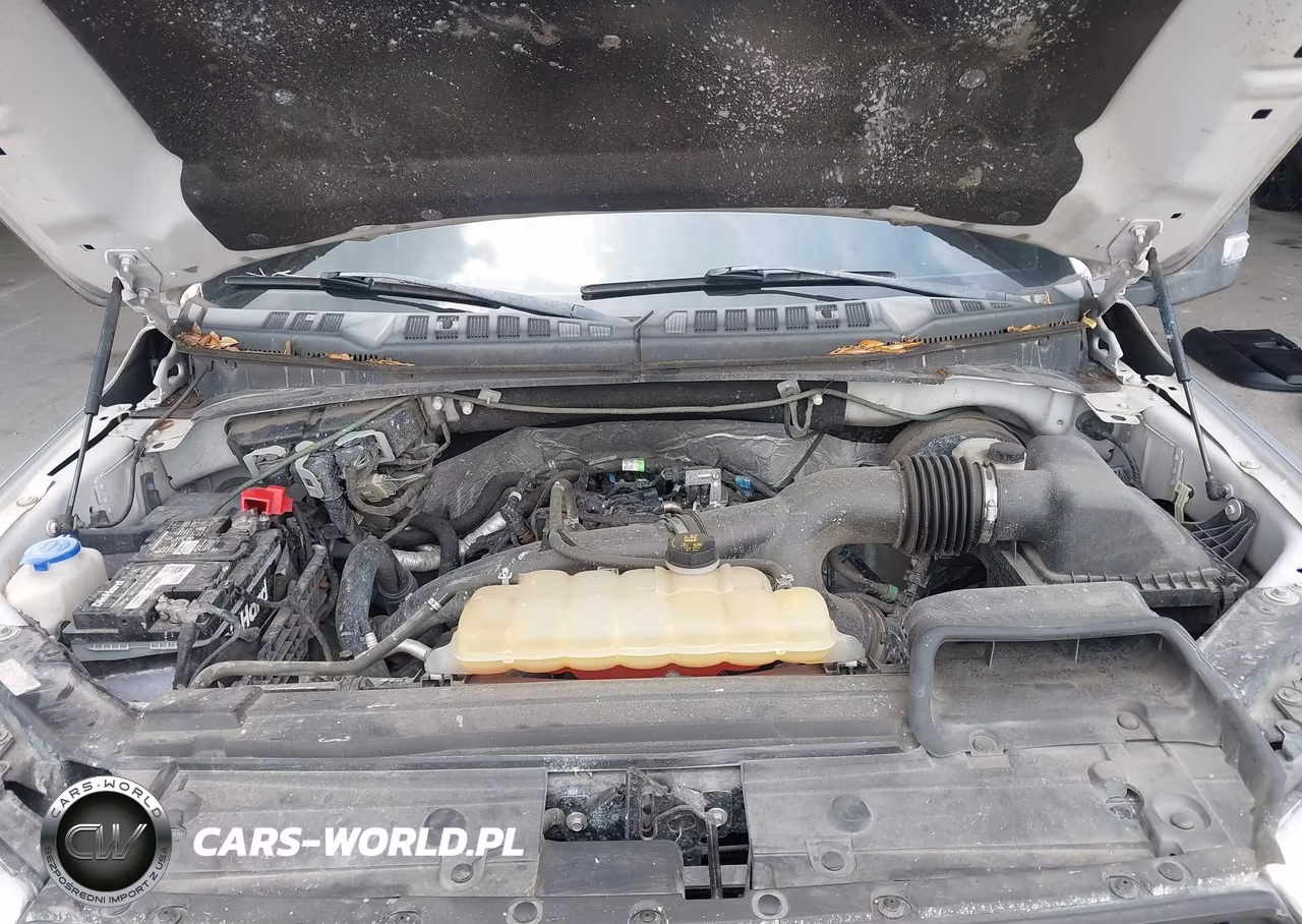 2019 Ford F-150 Xlt VIN:1FTEW1CP9KFA39317 - 10