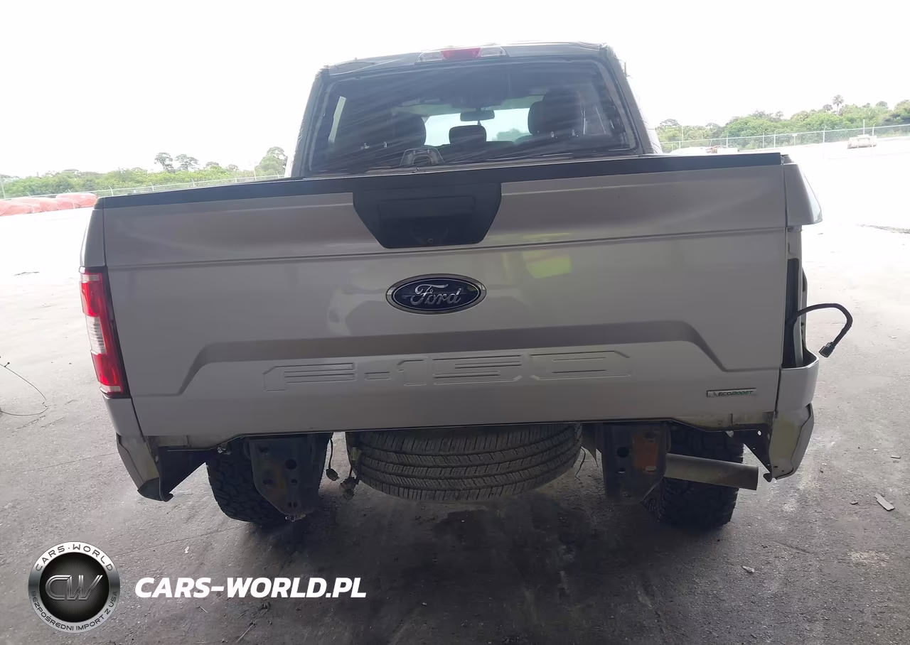 2019 Ford F-150 Xlt VIN:1FTEW1CP9KFA39317 - 19