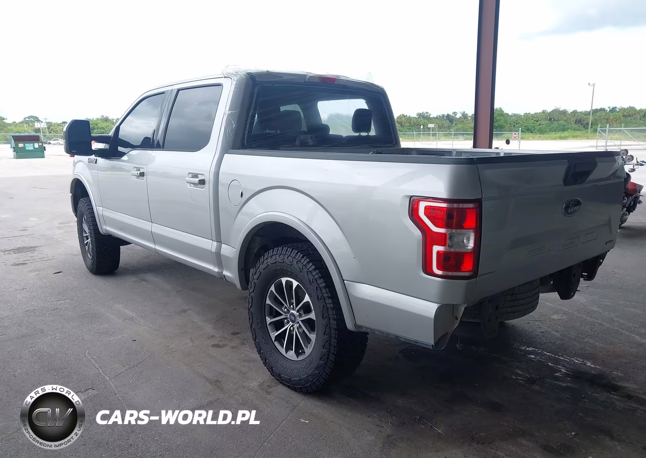 2019 Ford F-150 Xlt VIN:1FTEW1CP9KFA39317 - 3