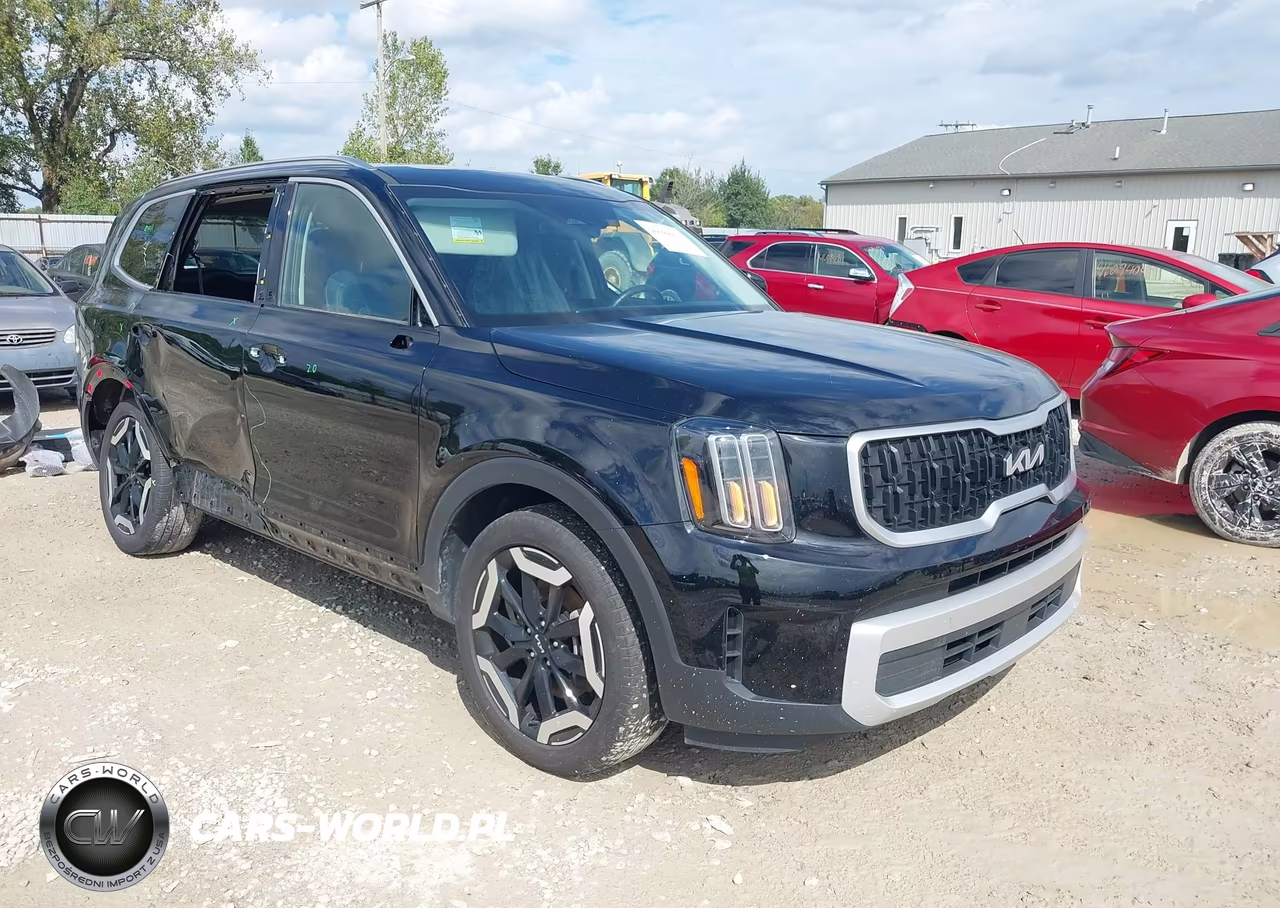 2024 Kia Telluride Ex VIN:5XYP3DGC5RG556843 - 1