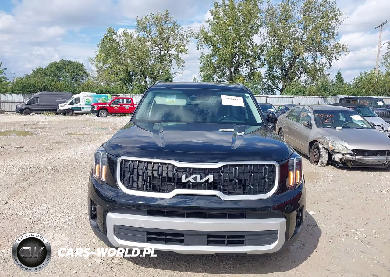 2024 Kia Telluride Ex VIN:5XYP3DGC5RG556843 - 13