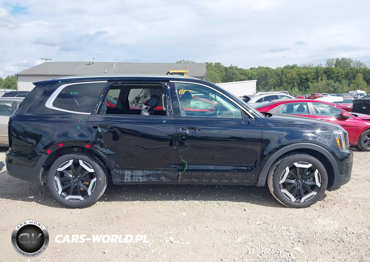 2024 Kia Telluride Ex VIN:5XYP3DGC5RG556843 - 14