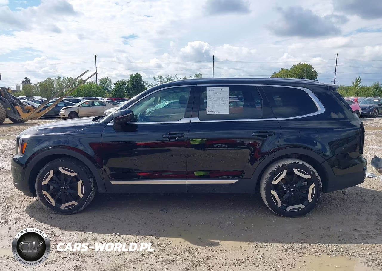 2024 Kia Telluride Ex VIN:5XYP3DGC5RG556843 - 15