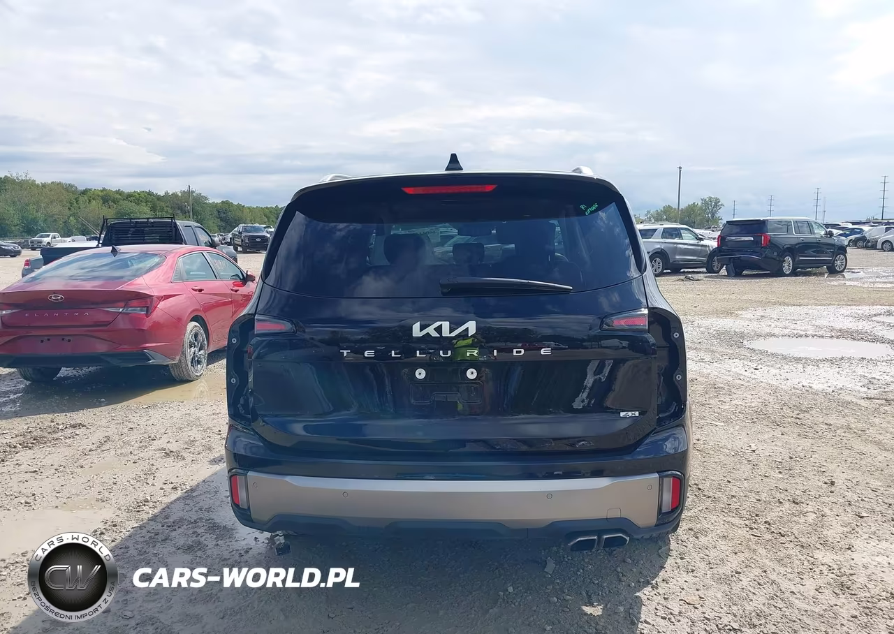 2024 Kia Telluride Ex VIN:5XYP3DGC5RG556843 - 17