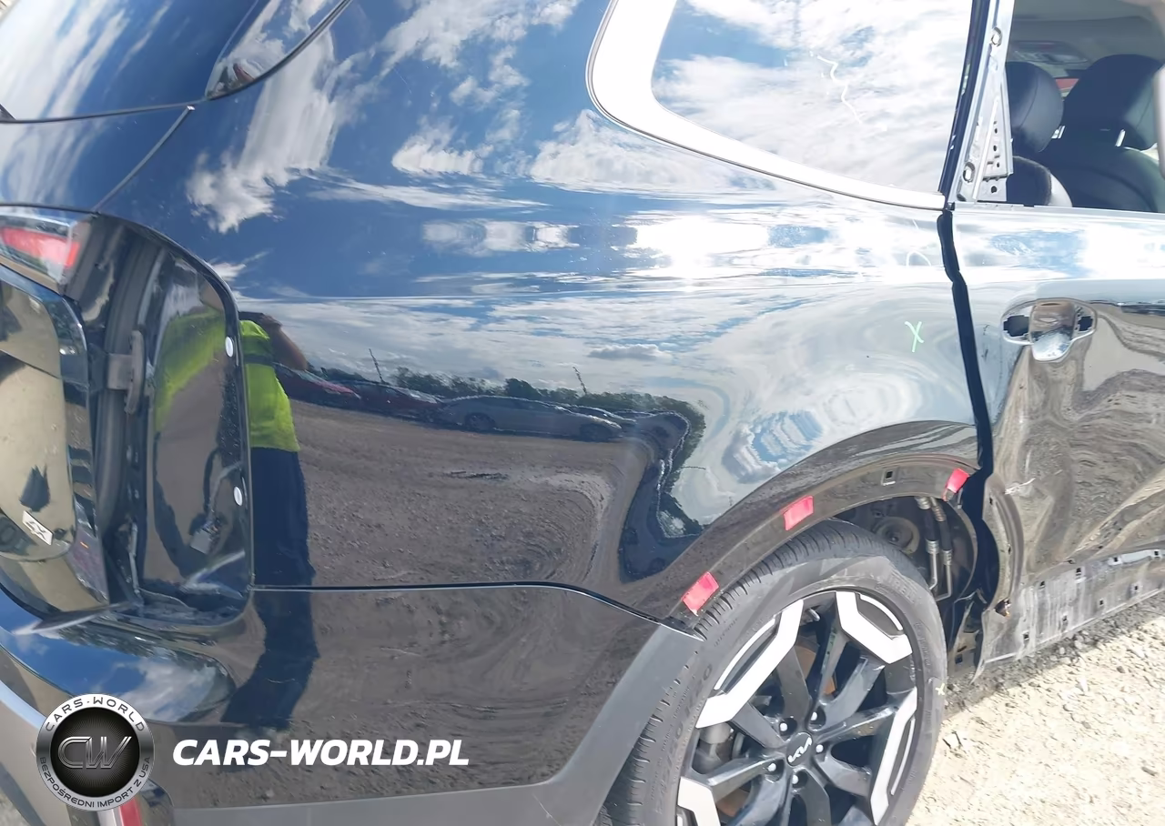 2024 Kia Telluride Ex VIN:5XYP3DGC5RG556843 - 19