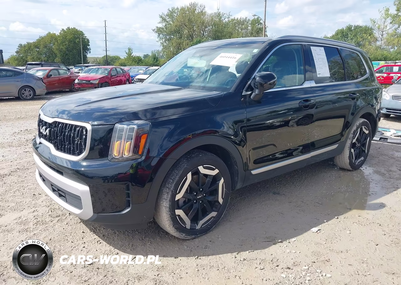 2024 Kia Telluride Ex VIN:5XYP3DGC5RG556843 - 2