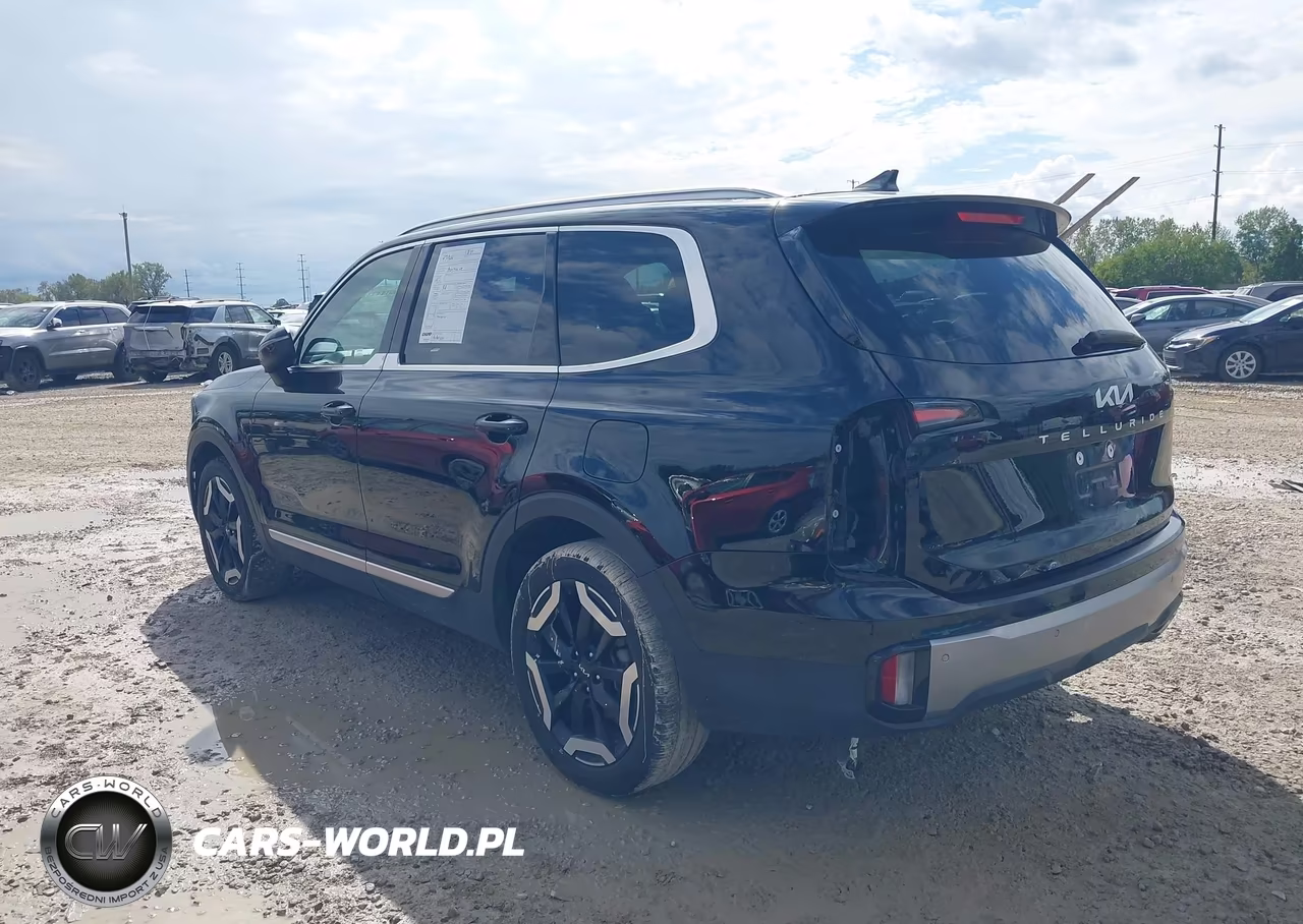 2024 Kia Telluride Ex VIN:5XYP3DGC5RG556843 - 3
