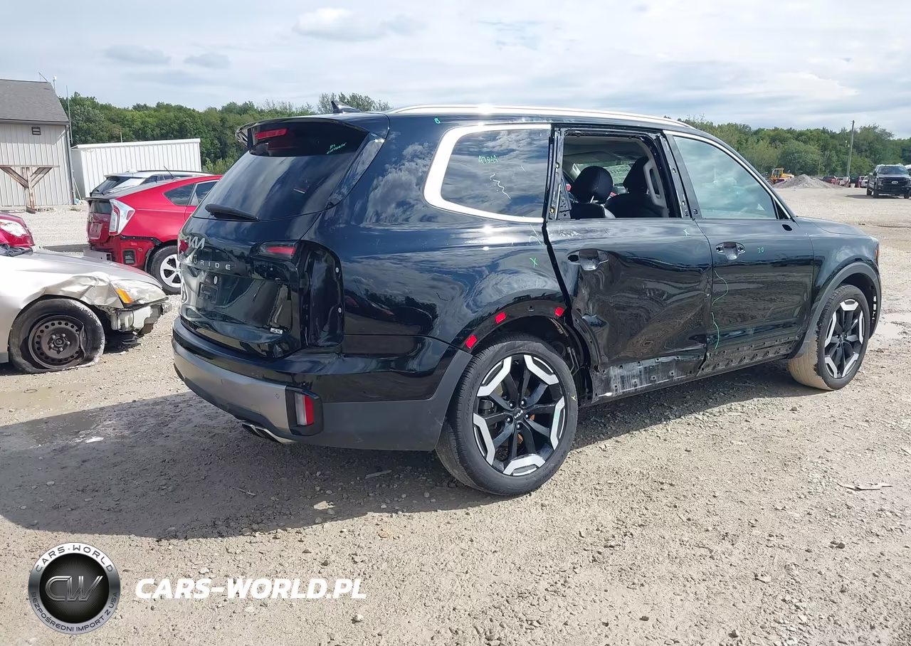 2024 Kia Telluride Ex VIN:5XYP3DGC5RG556843 - 4