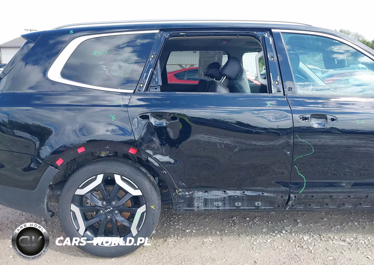 2024 Kia Telluride Ex VIN:5XYP3DGC5RG556843 - 6