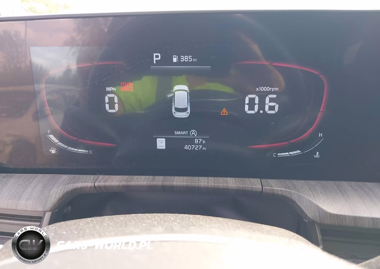 2024 Kia Telluride Ex VIN:5XYP3DGC5RG556843 - 7