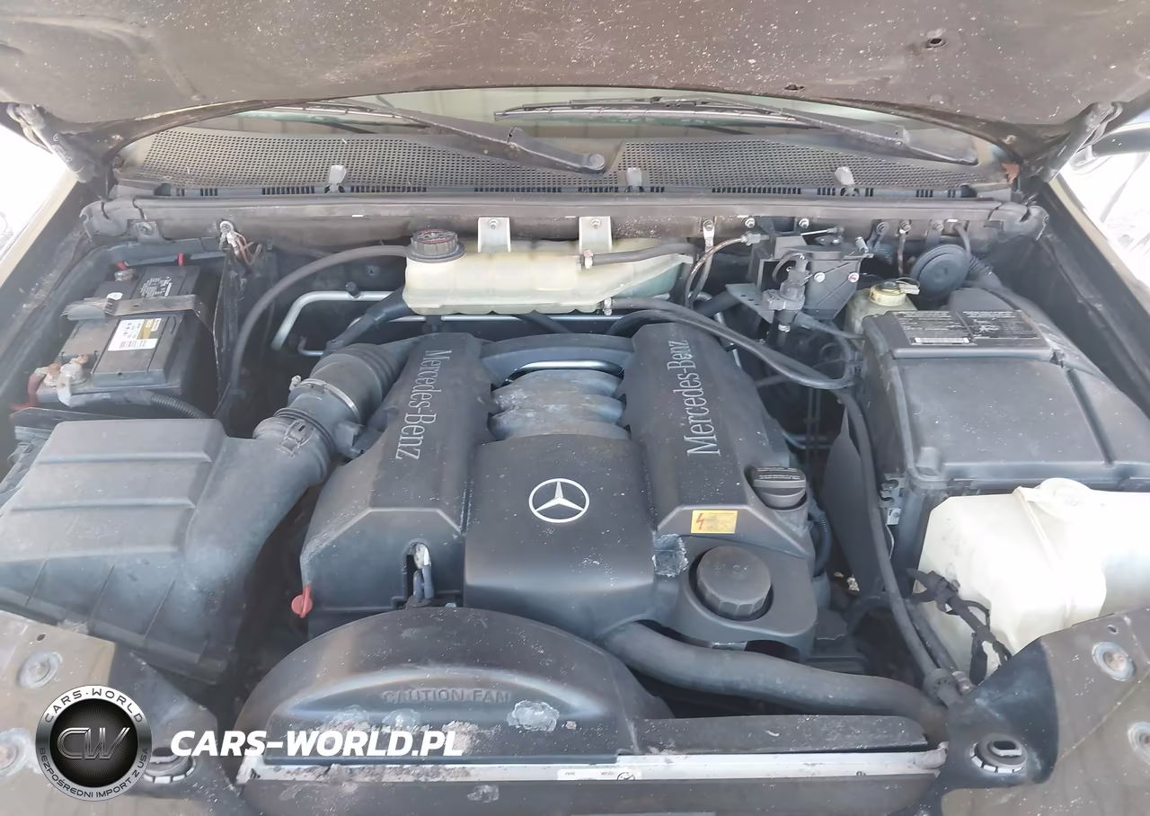 2002 Mercedes-Benz Ml 320 VIN:4JGAB54E32A353486 - 10