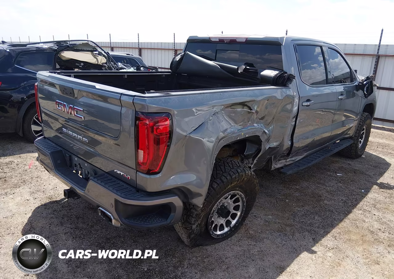 2020 GMC Sierra 1500 4Wd Short Box At4 VIN:3GTP9EEL3LG421344 - 4