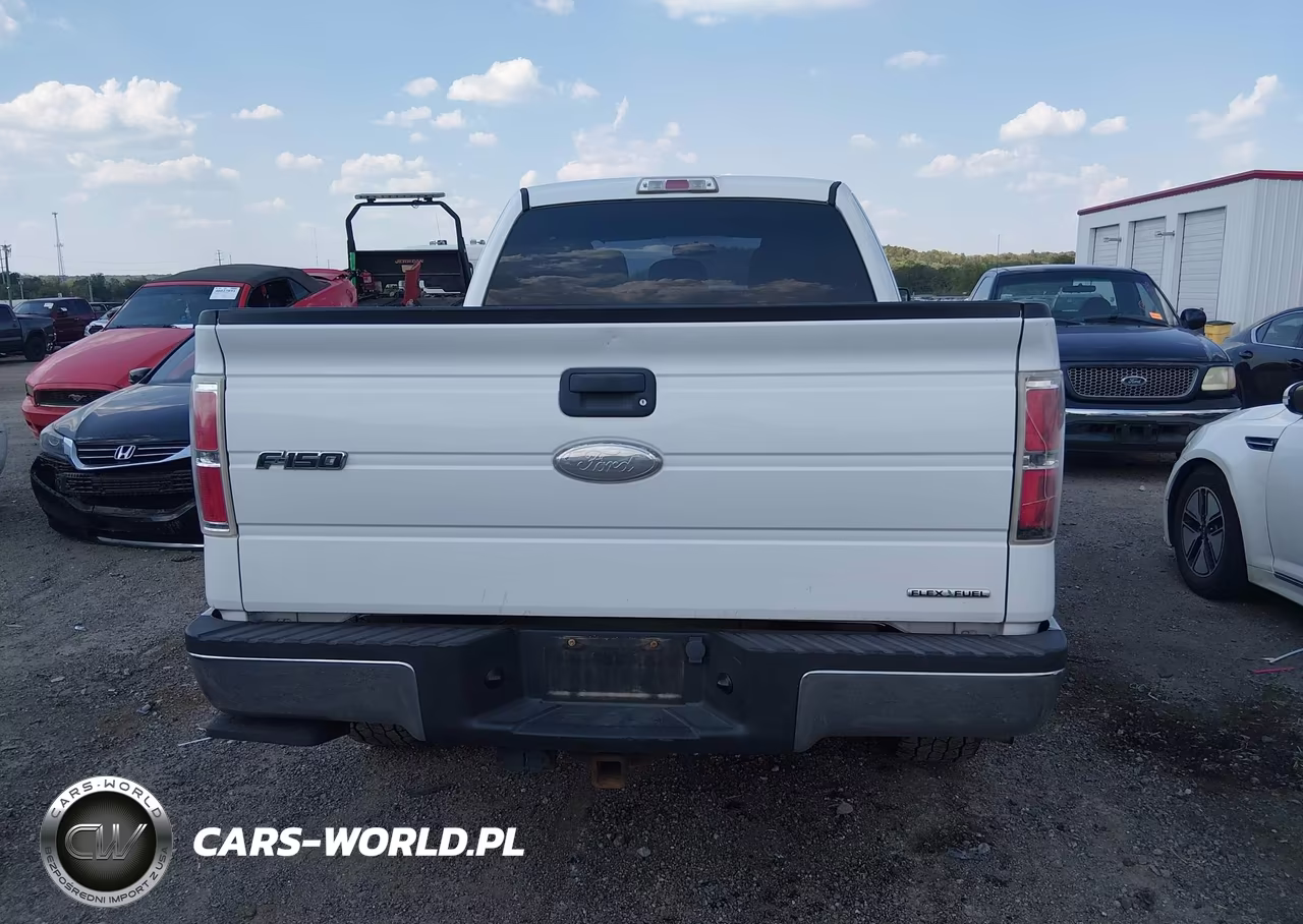 2011 Ford F-150 Xl VIN:1FTFX1EFXBFB59634 - 16