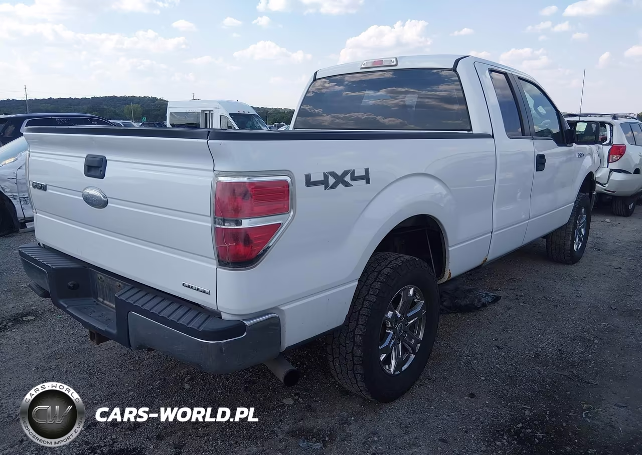 2011 Ford F-150 Xl VIN:1FTFX1EFXBFB59634 - 4