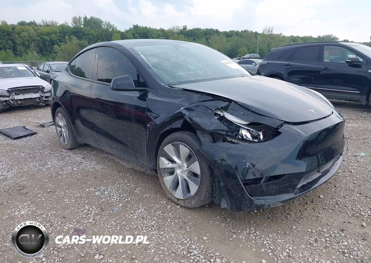 2023 Tesla Model Y Awd-Long Range Dual Motor All-Wheel Drive VIN:7SAYGDEEXPA212152 - 1
