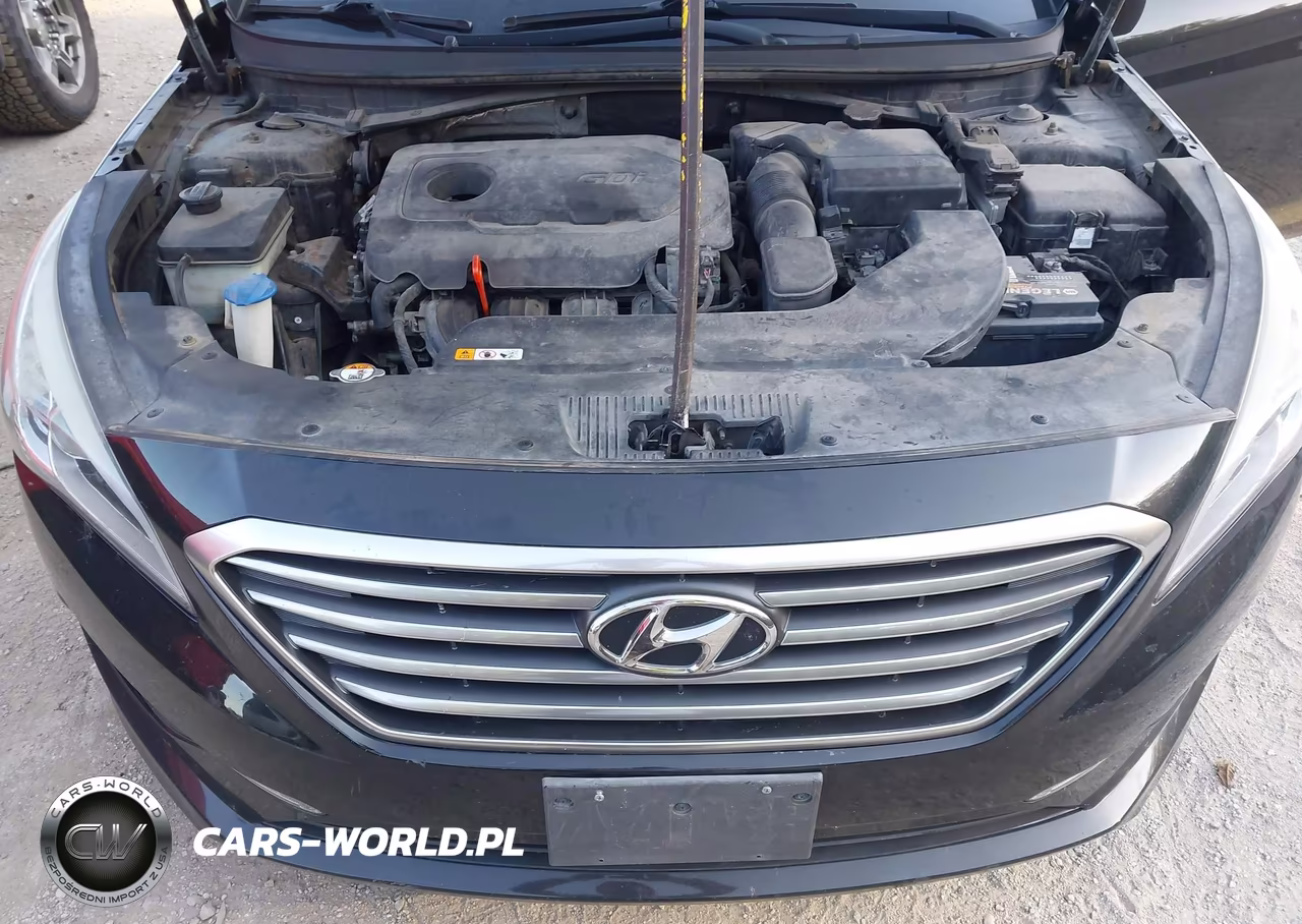 2015 Hyundai Sonata Se VIN:5NPE24AF3FH012617 - 10