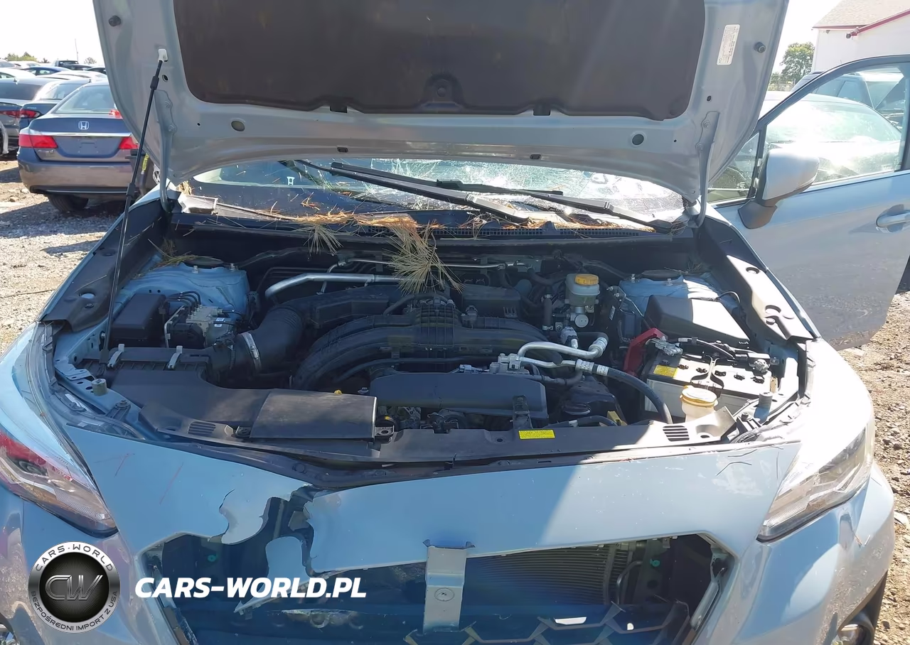 2020 Subaru Crosstrek Limited VIN:JF2GTAMC9LH234306 - 10