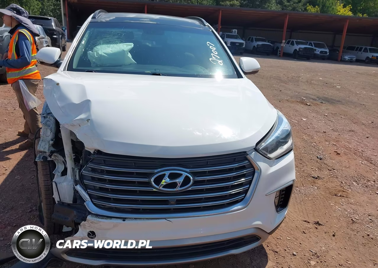 2018 Hyundai Santa Fe Limited Ultimate VIN:KM8SR4HF8JU288242 - 12