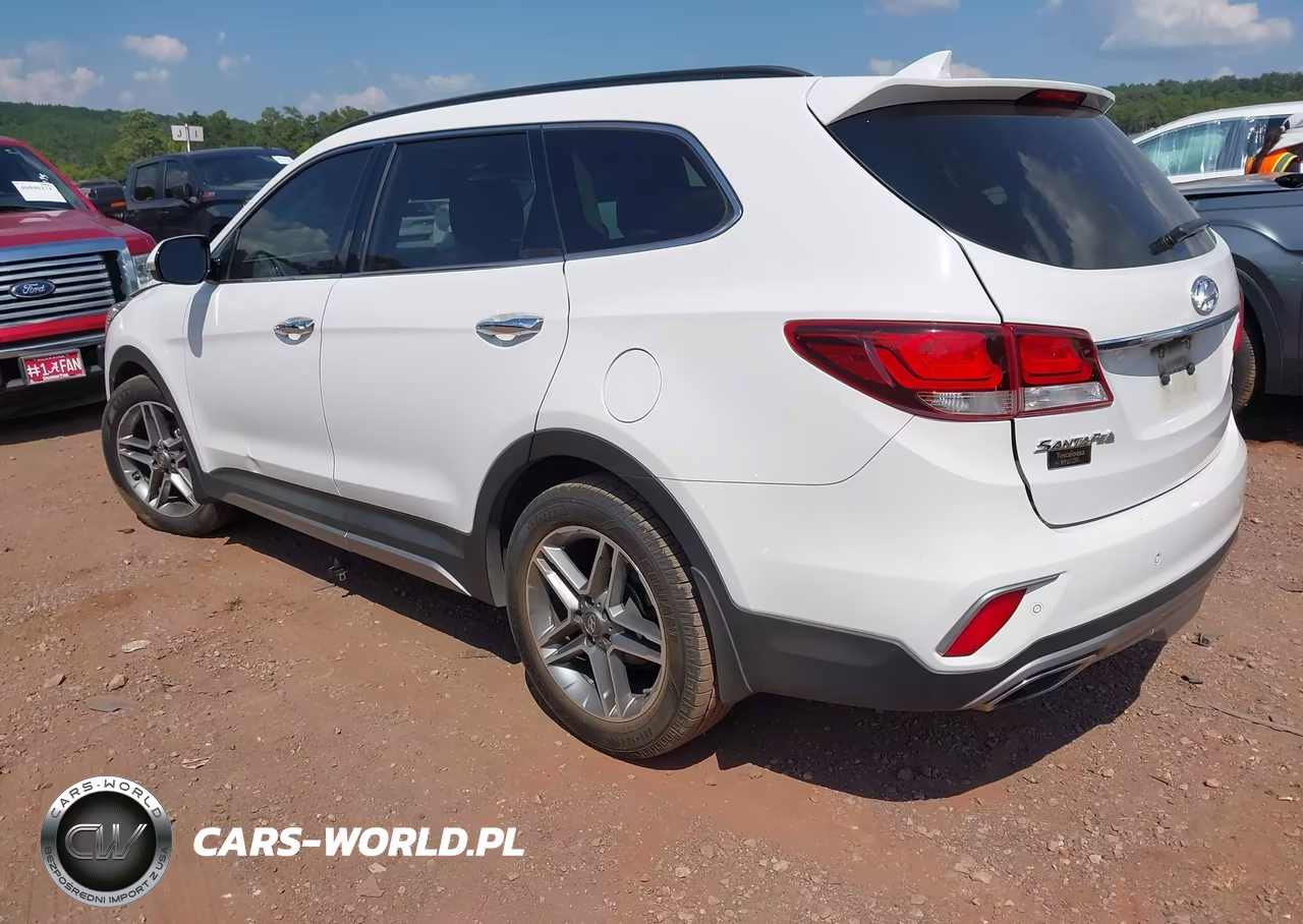 2018 Hyundai Santa Fe Limited Ultimate VIN:KM8SR4HF8JU288242 - 3
