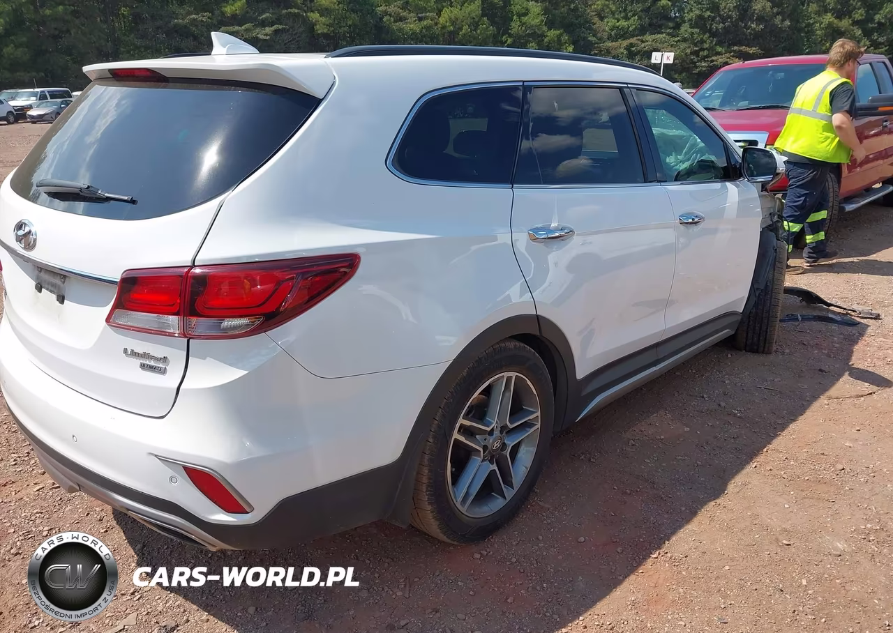 2018 Hyundai Santa Fe Limited Ultimate VIN:KM8SR4HF8JU288242 - 4