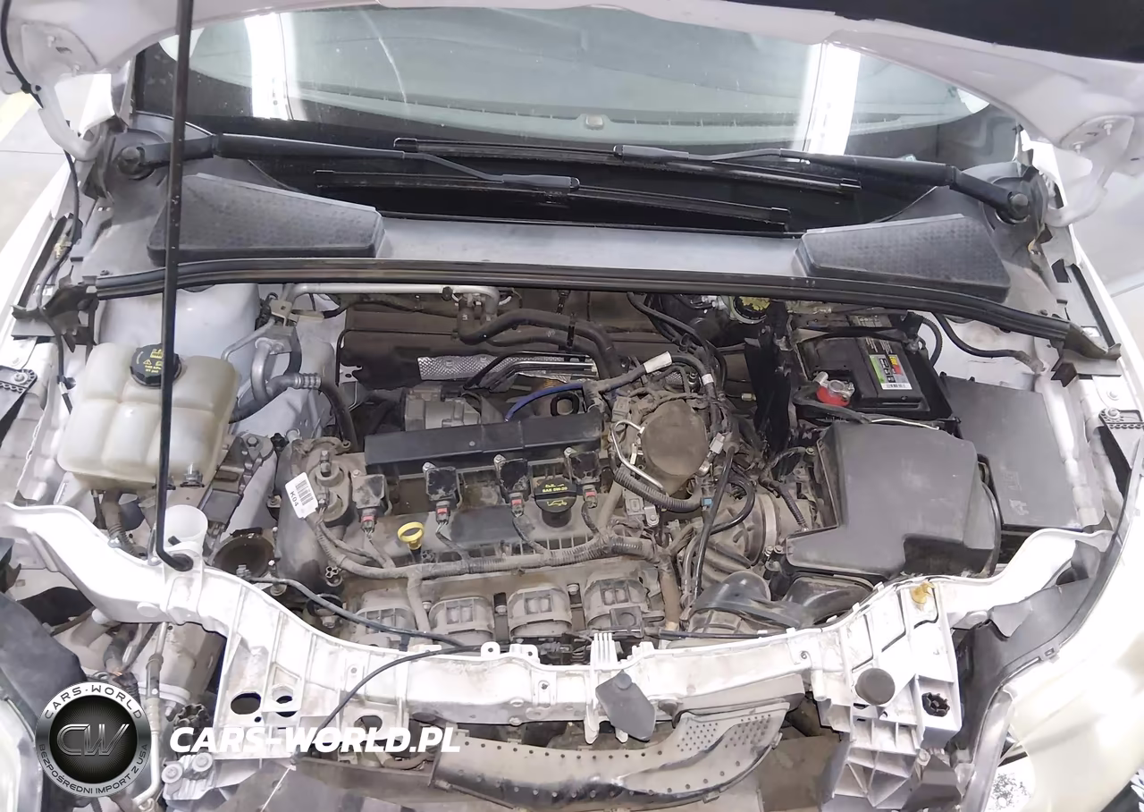 2014 Ford Focus Se VIN:1FADP3K2XEL282639 - 10