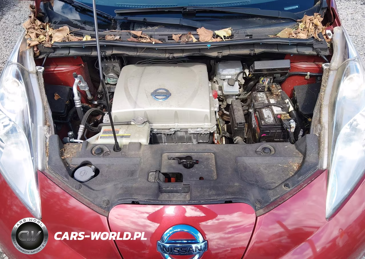 2015 Nissan Leaf S VIN:1N4AZ0CP0FC330950 - 10