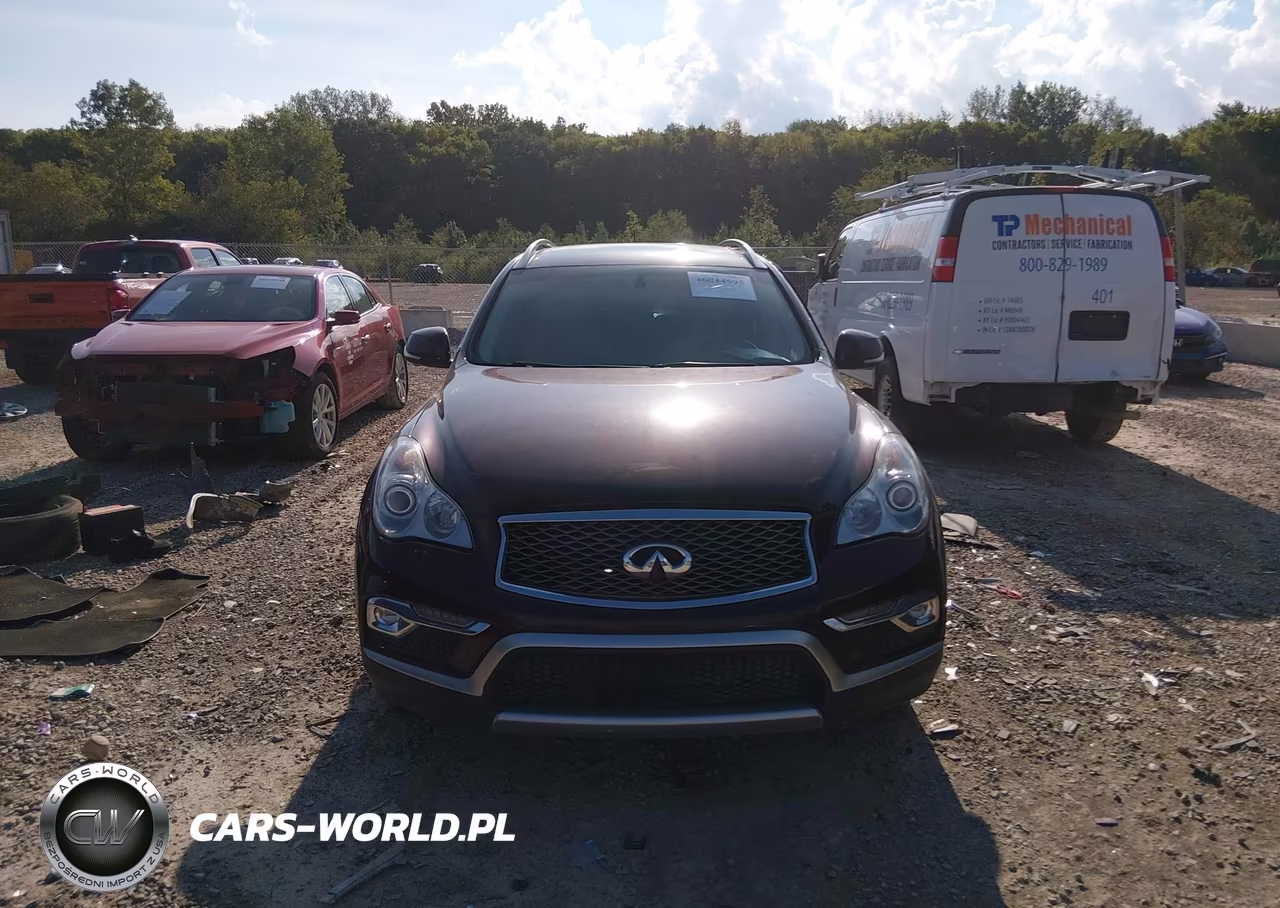 2016 Infiniti Qx50 VIN:JN1BJ0RR7GM260778 - 12