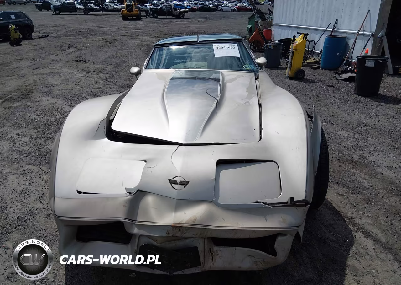 1982 Chevrolet Corvette VIN:1G1AY0787C5113226 - 12
