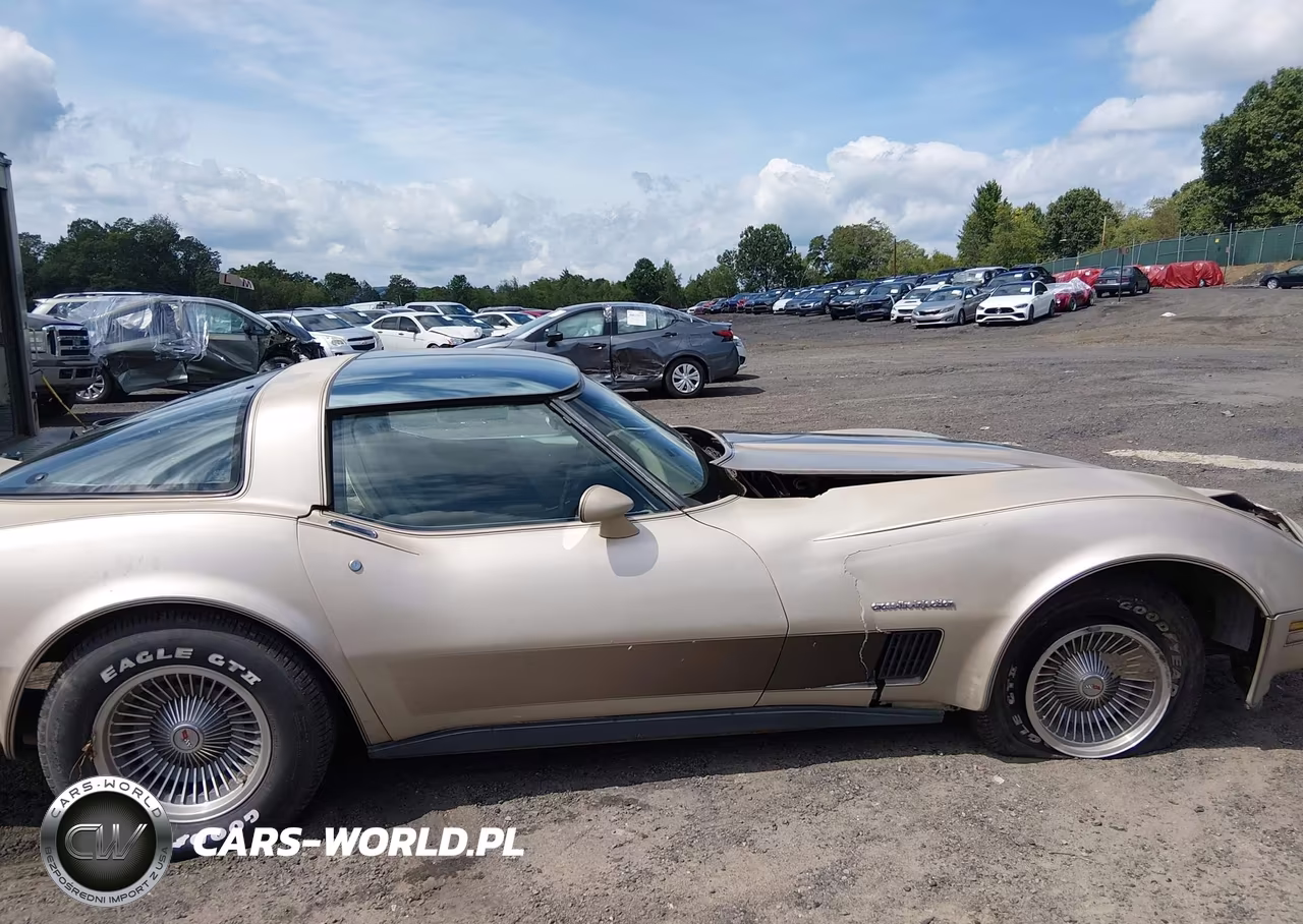 1982 Chevrolet Corvette VIN:1G1AY0787C5113226 - 13