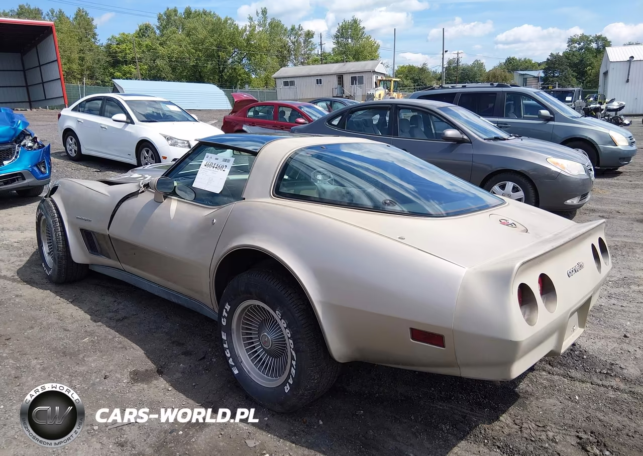 1982 Chevrolet Corvette VIN:1G1AY0787C5113226 - 3