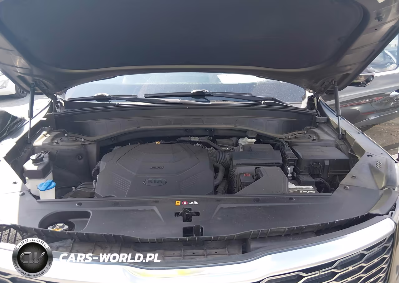 2020 Kia Telluride Sx VIN:5XYP54HC4LG009532 - 10