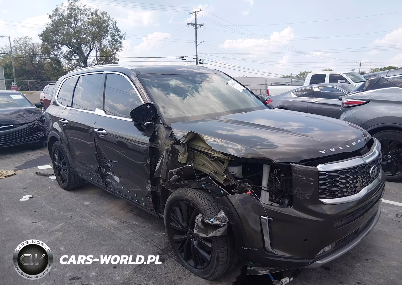 2020 Kia Telluride Sx VIN:5XYP54HC4LG009532 - 13