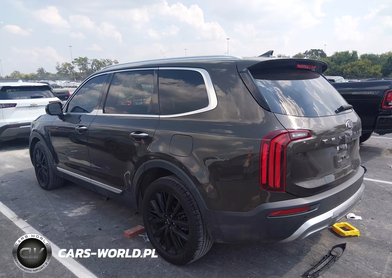 2020 Kia Telluride Sx VIN:5XYP54HC4LG009532 - 14