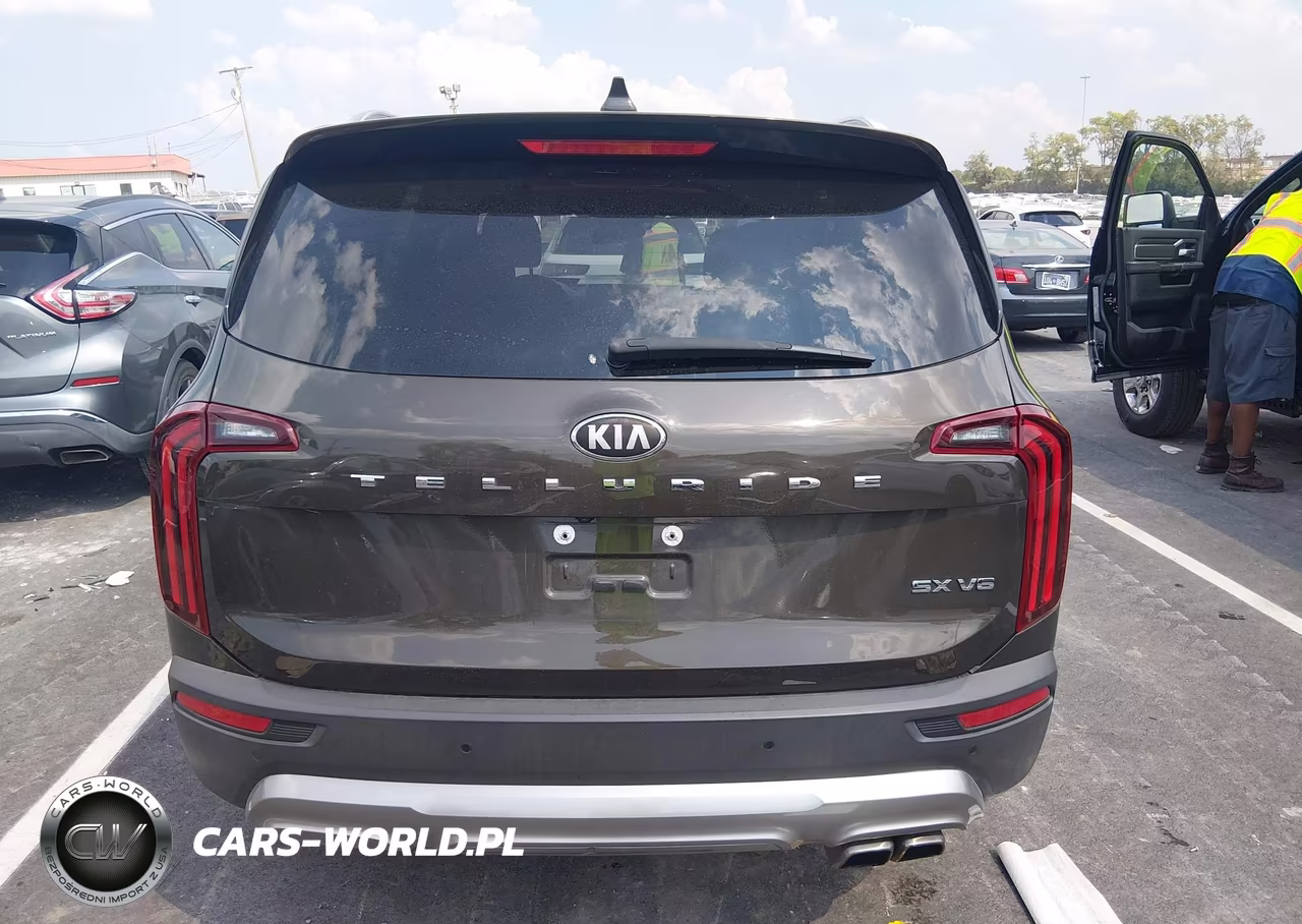 2020 Kia Telluride Sx VIN:5XYP54HC4LG009532 - 16