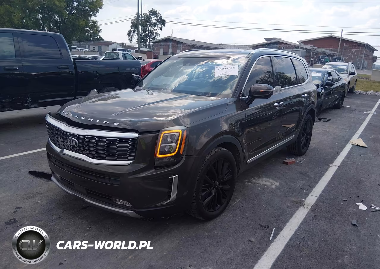 2020 Kia Telluride Sx VIN:5XYP54HC4LG009532 - 2