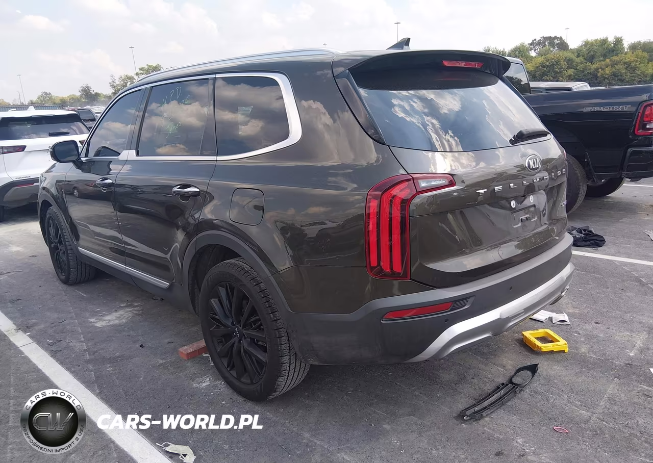 2020 Kia Telluride Sx VIN:5XYP54HC4LG009532 - 3
