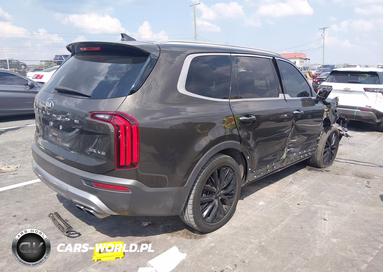 2020 Kia Telluride Sx VIN:5XYP54HC4LG009532 - 4