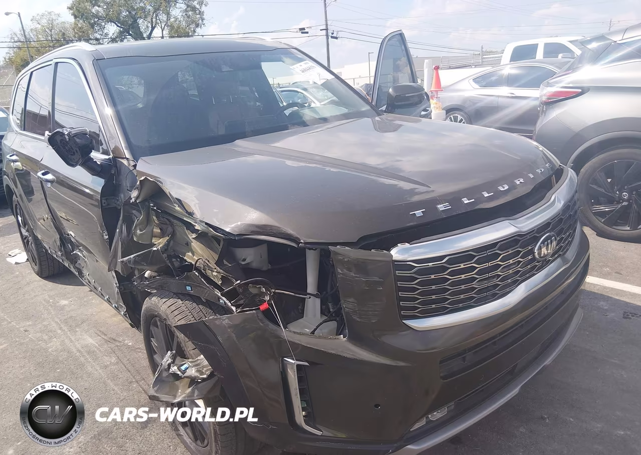 2020 Kia Telluride Sx VIN:5XYP54HC4LG009532 - 6
