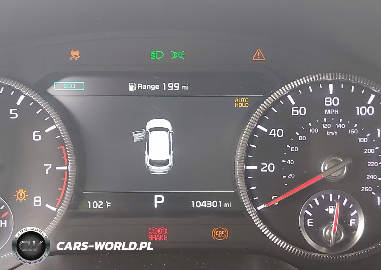 2020 Kia Telluride Sx VIN:5XYP54HC4LG009532 - 7